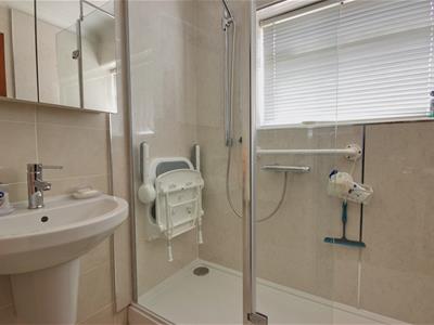 Picture 8